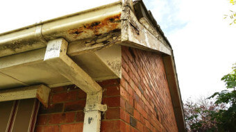 Gutters and fascia boards